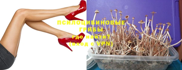 ПСИЛОЦИБИНОВЫЕ ГРИБЫ Абинск