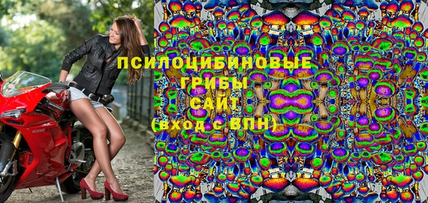ПСИЛОЦИБИНОВЫЕ ГРИБЫ Абинск