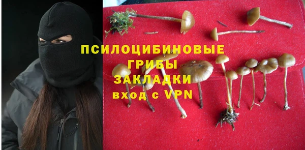 ПСИЛОЦИБИНОВЫЕ ГРИБЫ Абинск